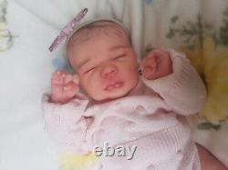 Stunning High End & Highly Detailed Reborn Baby Girl Felicity By Bountiful Baby