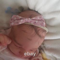 Stunning High End & Highly Detailed Reborn Baby Girl Felicity By Bountiful Baby