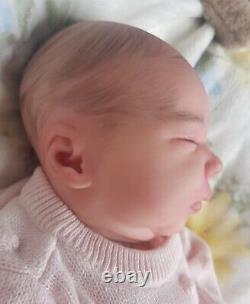 Stunning High End & Highly Detailed Reborn Baby Girl Felicity By Bountiful Baby