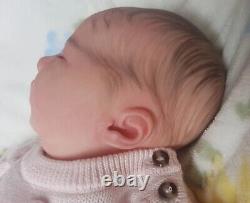 Stunning High End & Highly Detailed Reborn Baby Girl Felicity By Bountiful Baby