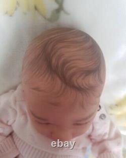 Stunning High End & Highly Detailed Reborn Baby Girl Felicity By Bountiful Baby