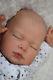 Stunning Reborn Lotty- Now Liam Baby Boy Doll Nubornz Nursery