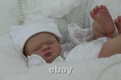 Stunning reborn Zoelle detailed prem baby 16 inch Darwen's Darlin's 50/150