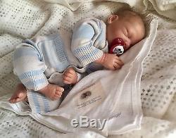 Sugar Plum Noe Reborn Baby Boy Doll