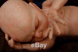 Sweet Amazing Reborn baby doll boy Max Sculpt 14'' anatomically correct