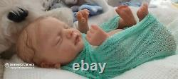 TRACYSLITTLETREASURES-5 Reborn baby doll Sam GUDRUN LEGLER 19 BOY TUMMY PLATE