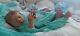Tracyslittletreasures-5 Reborn Baby Doll Victor Gudrun Legler Boy Tummy Plate