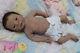 Tiny Timm's Full Body Silicone Fbs Reborn Baby Girl Doll Yentle Breedveld