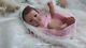 Tracyslittletreasures-5 Reborn Baby Doll Girl Felicia Gudrun Legler 18 To 19 In