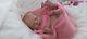 Tracyslittletreasures-5 Reborn Baby Doll Girl Luisa Olga Auer 21 Tummy Plate