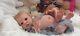Tracyslittletreasures-5 Reborn Baby Doll Oskar Olga Auer 20 / 21 Belly Plate