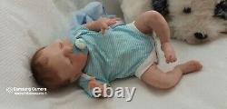 Tracyslittletreasures-5 Reborn Baby Doll Xander Cassie Brace 18 Le Boy