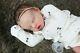Twin A By Bonnie Brown. Beautiful Reborn Baby Doll With Coa