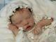 Ultra Realistic Twin A By Bonnie Brown, Realistic Reborn Baby Doll