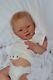 Very Rare Sole Reborn Baby Doll Sunny By Joanna Kazmierczak Tiny Gifts Nursery