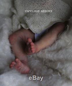 Very Cute Reborn Baby, Juliet By Marissa May, Professional Artist