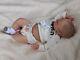 Williams Nursery Reborn Baby Boy Doll Joshua By Reva Schick Realistic Newborn