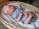 Williams Nursery Reborn Baby Boy Doll Realborn Christopher Asleep Rooted Hair