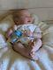 Williams Nursery Reborn Baby Boy Doll 20.5 Realborn Harlow Realistic Newborn