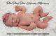 Zoe Full Bodied Silicone Baby By Linda Moore Not Reborn Doll